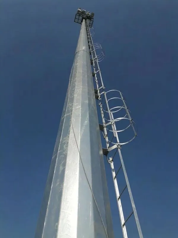 Access ladder and safety cage