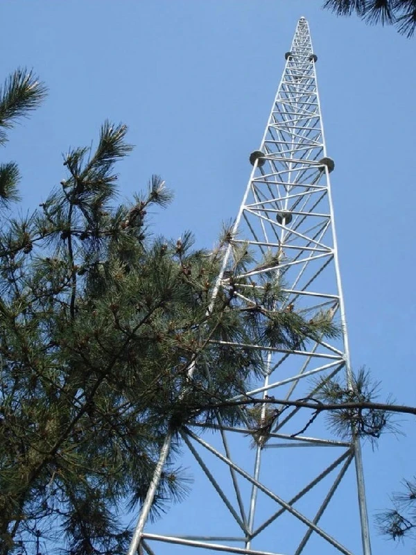 Galvanized tubular lattice lightning protection tower rising above trees