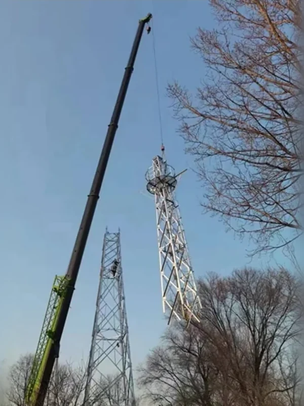 Crane lifting a galvanized monitoring tower section beside an installed lattice mast at a wooded site