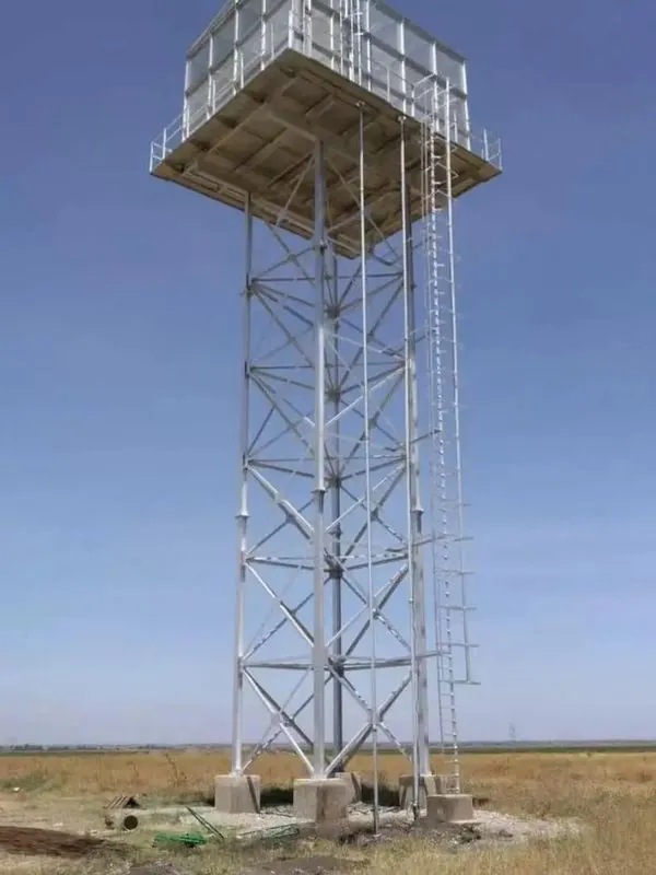 Caged ladder and service access